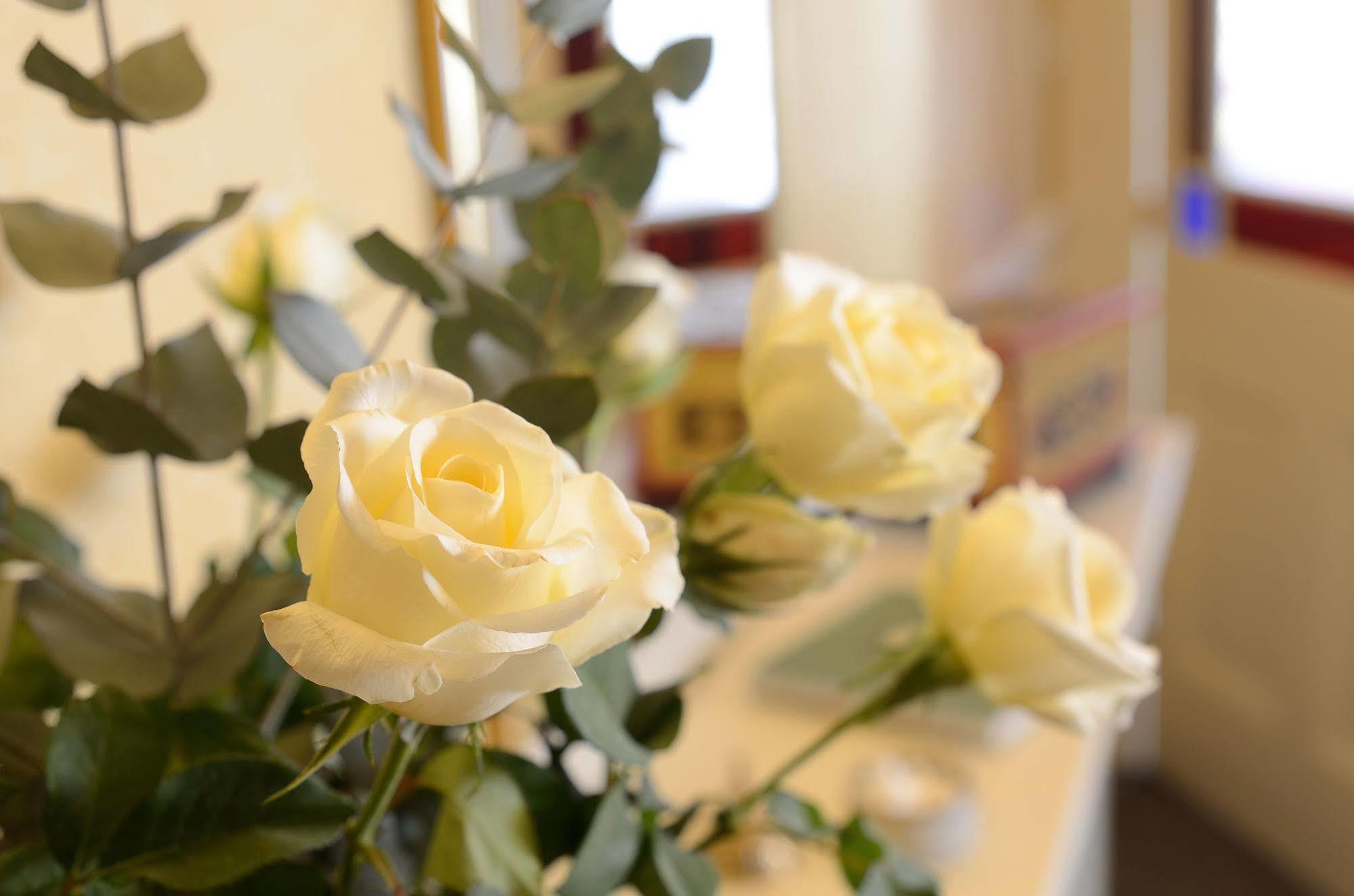 Crosby Bed & Breakfast Penrith Extérieur photo